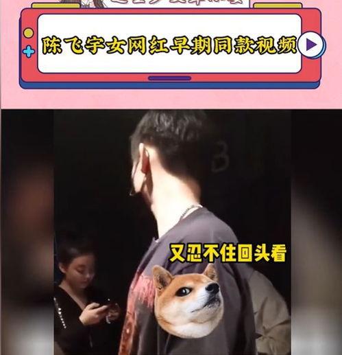 陈飞宇女网红爆料视频,揭秘娱乐圈不为人知的秘密  第1张